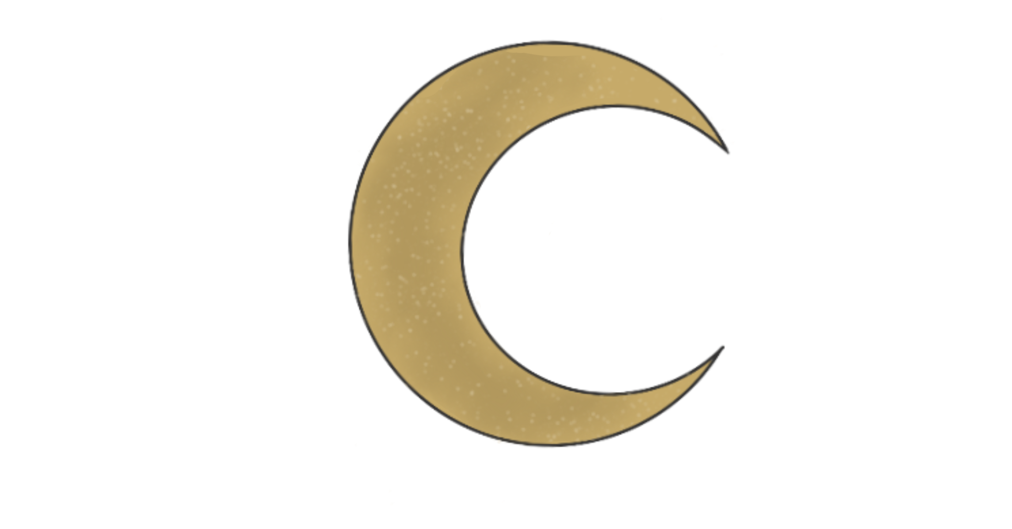 IMG_0205.png