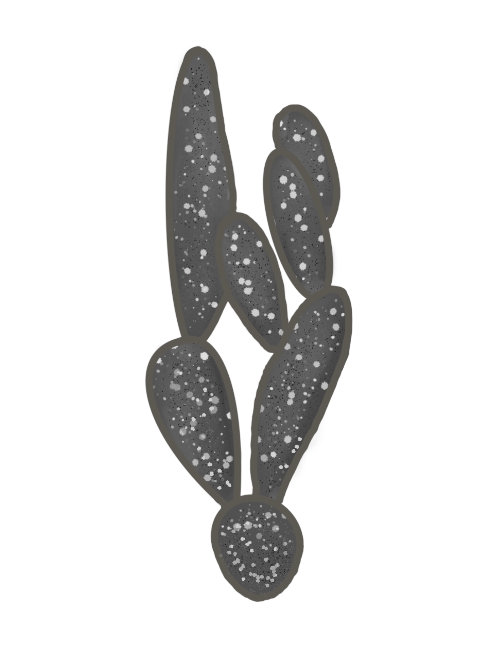 60C7B71D-F071-434C-AAB1-53678618CDB4.png