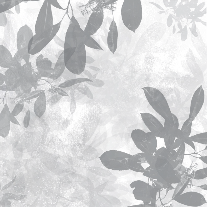 Bloom Skincare Co Branding