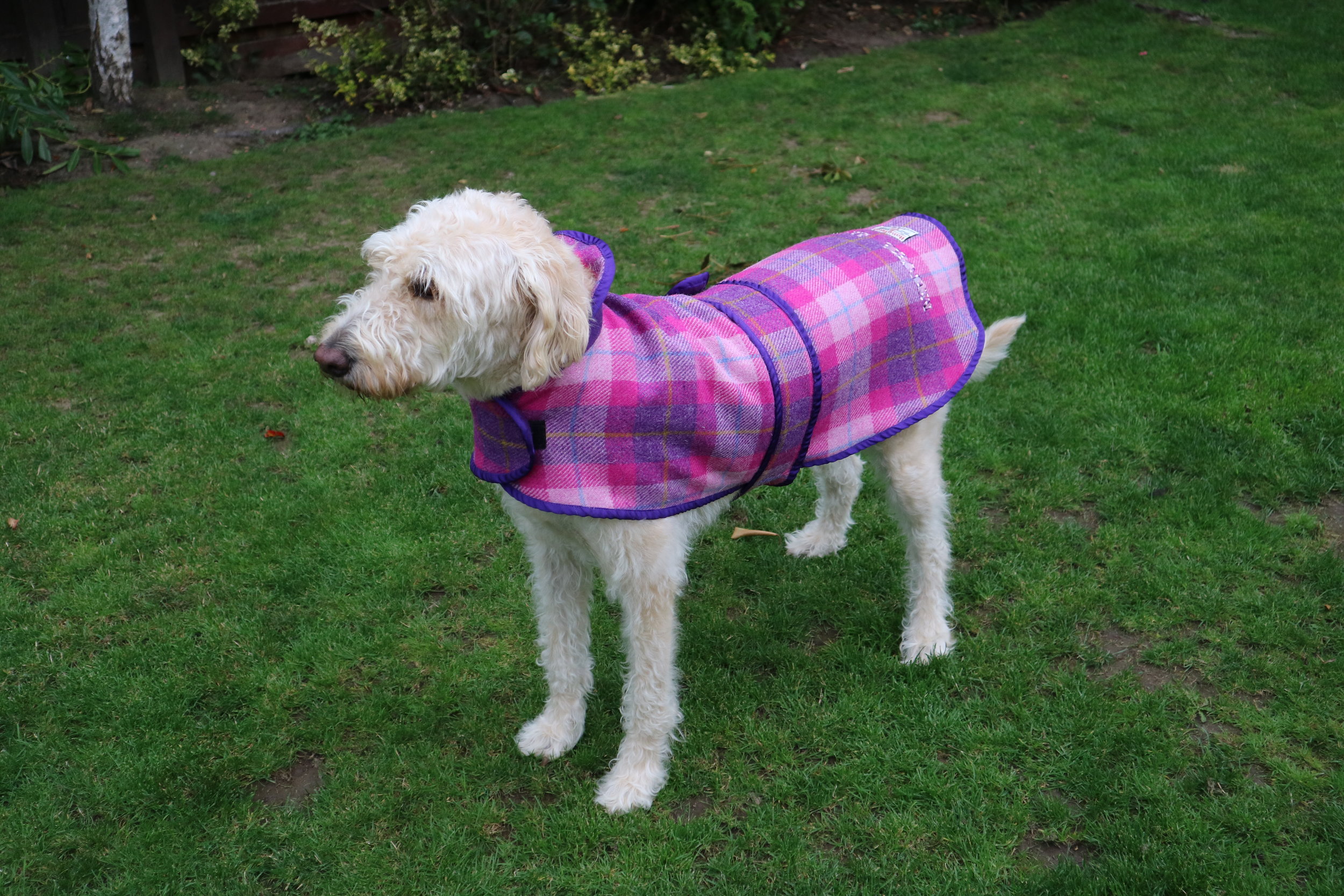 Mucki Mutz 'Harris Tweed' Dog Coat