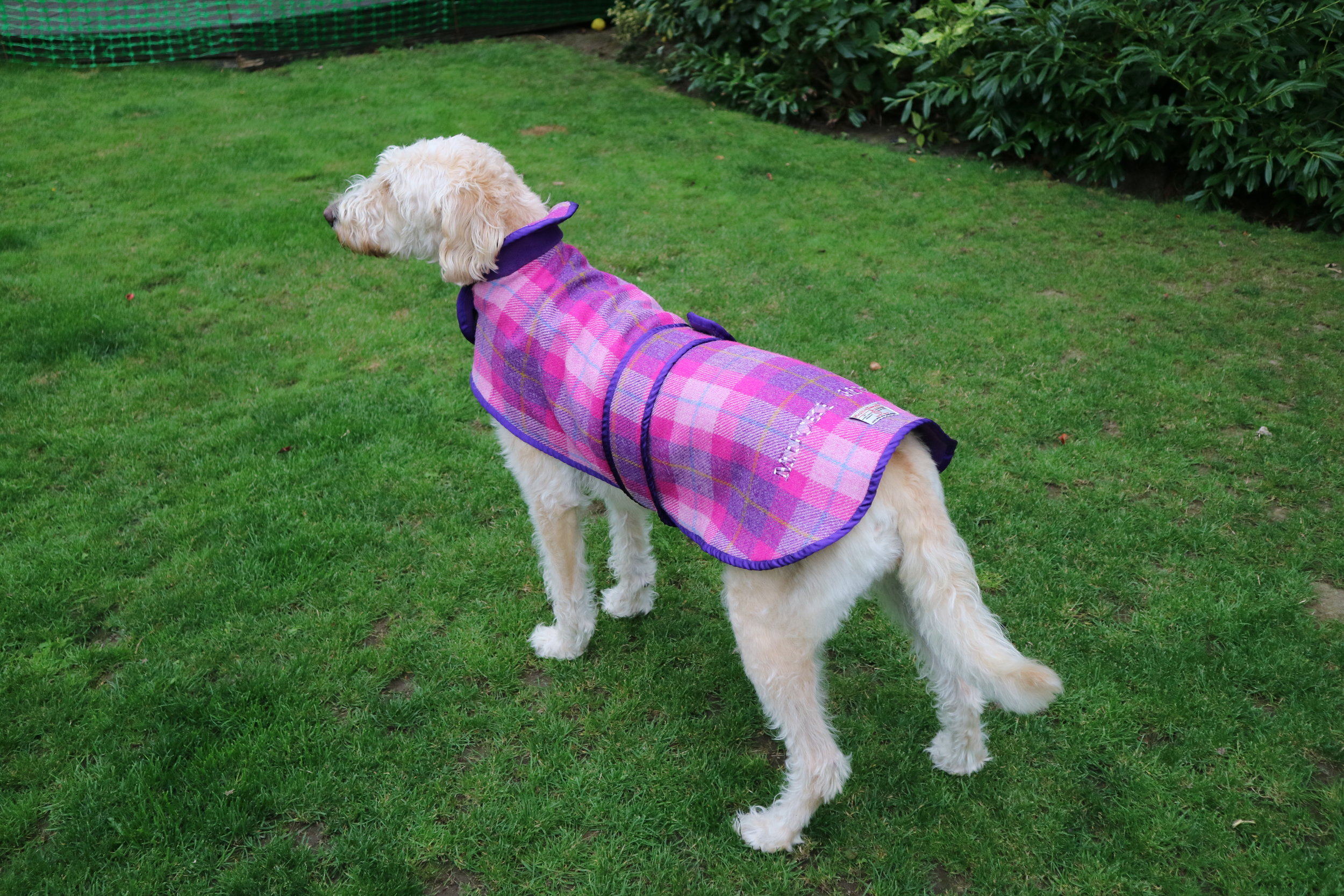 Mucki Mutz Harris Tweed Dog Coat