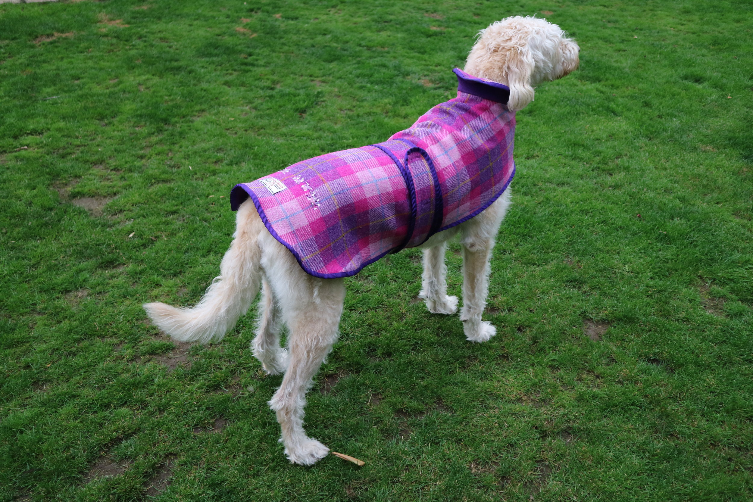Mucki Mutz Harris Tweed Dog Coat
