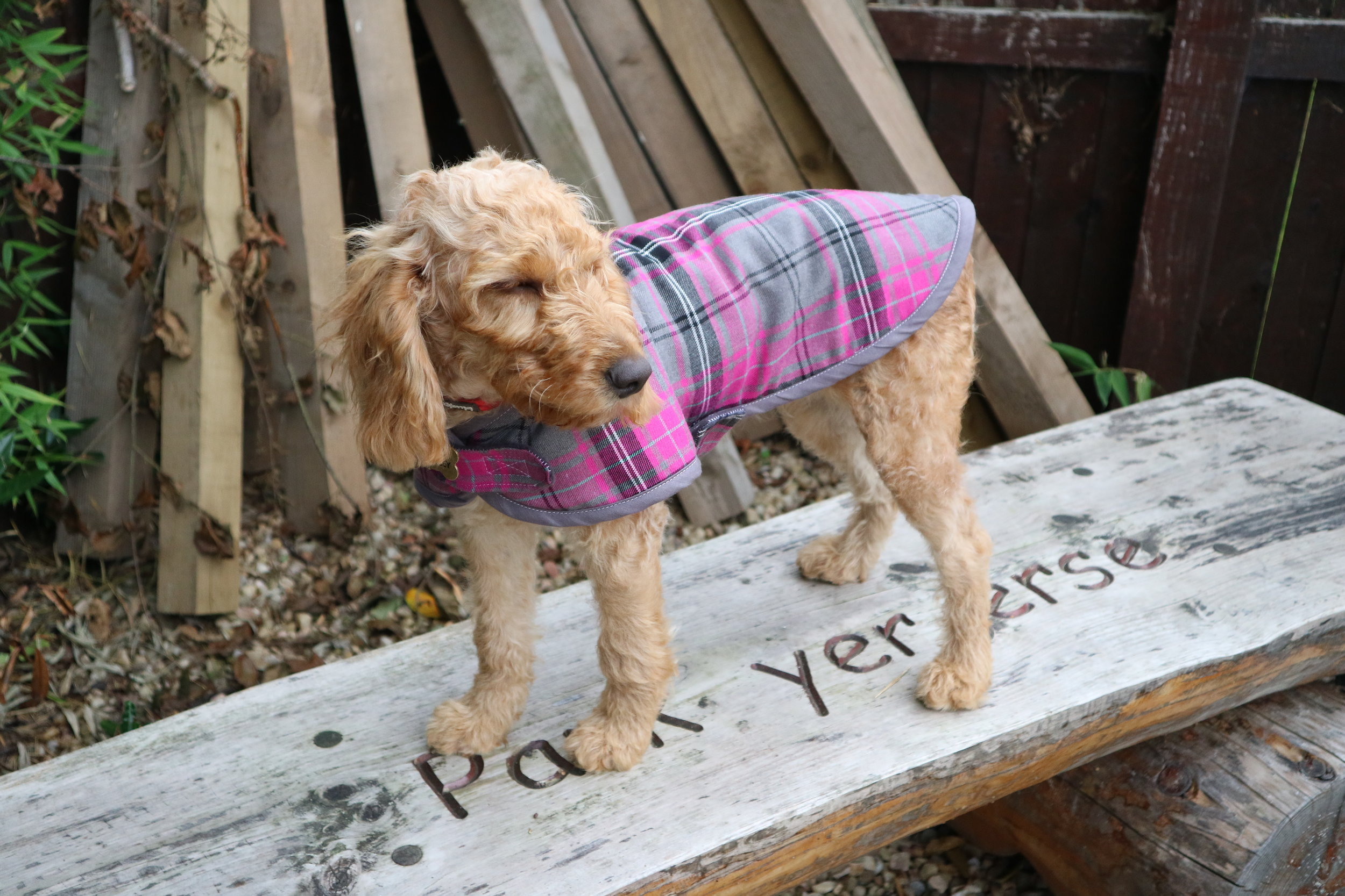 Mucki Mutz Classic Dog Coat