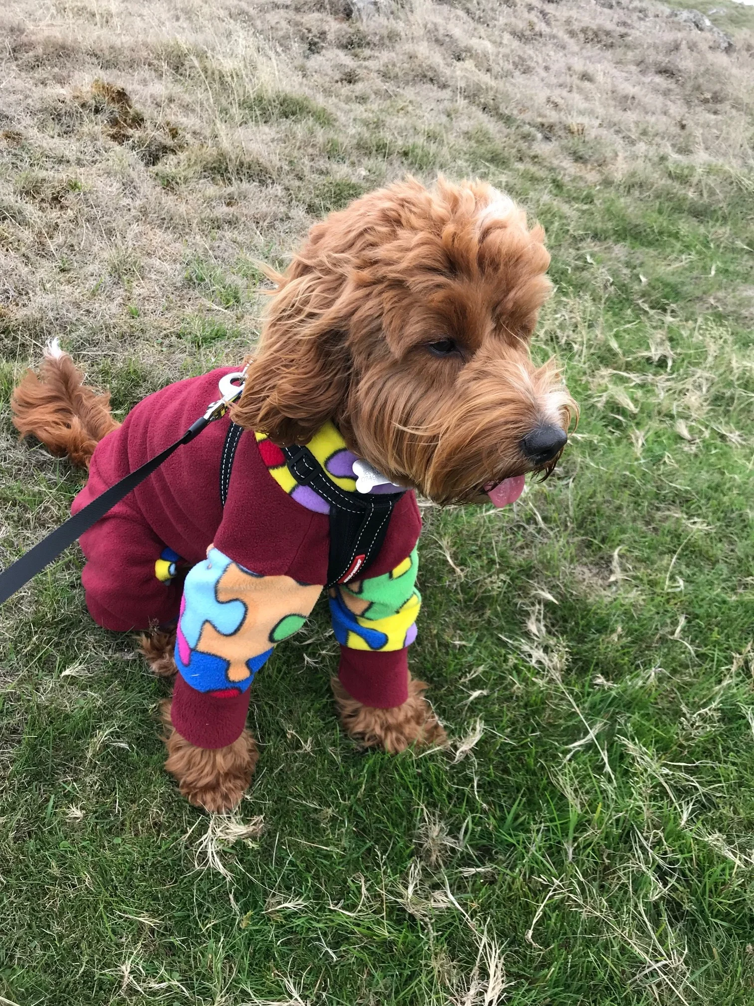 Another happy wee customer