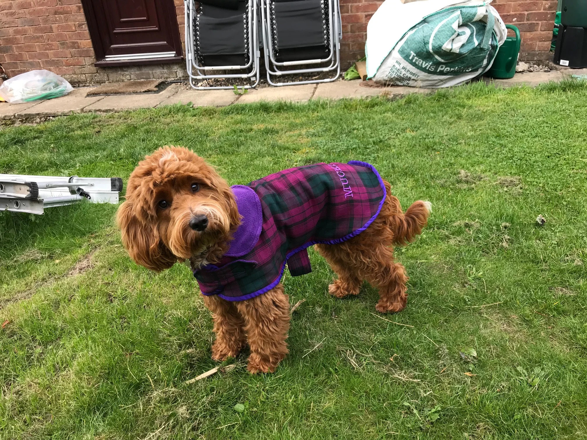 Skylar in the classic 