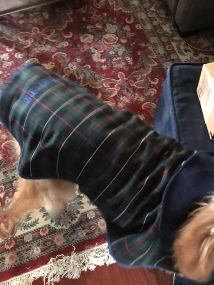 Pickle in the USA 🇺🇸 