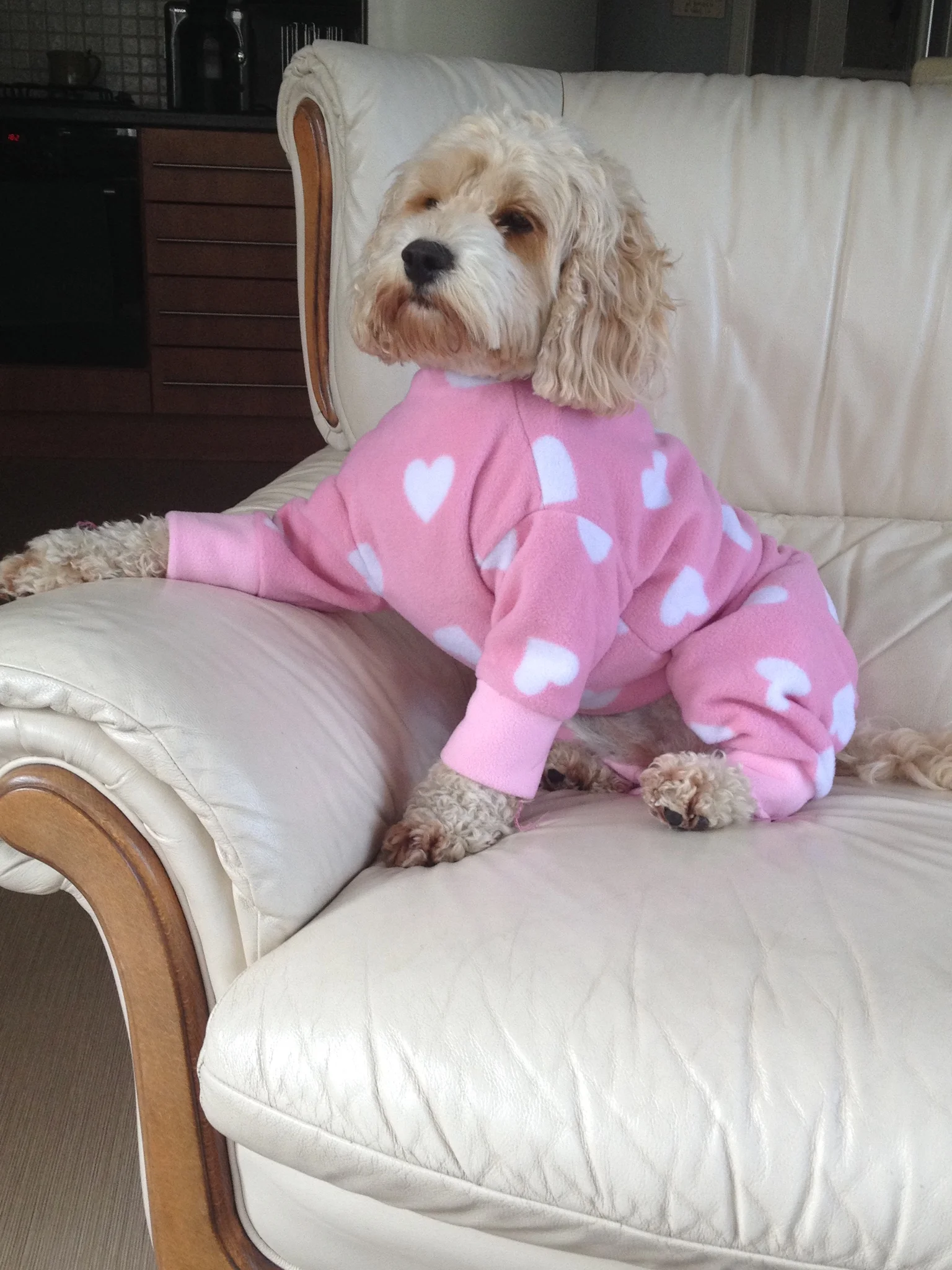 New PJs for Millie 