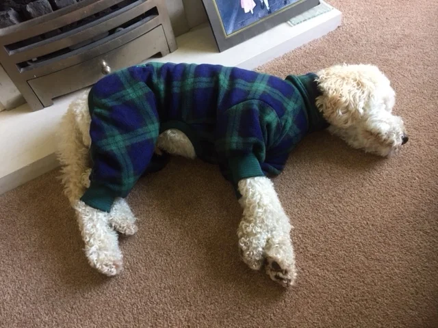 Robbie’s loves his new bodysuit x 