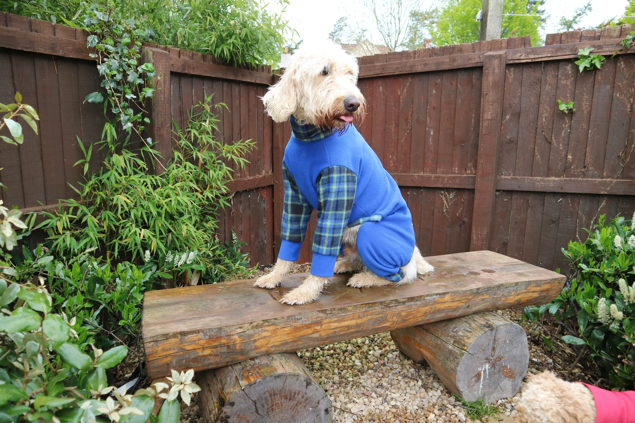 Mucki Mutz Body Suit 10