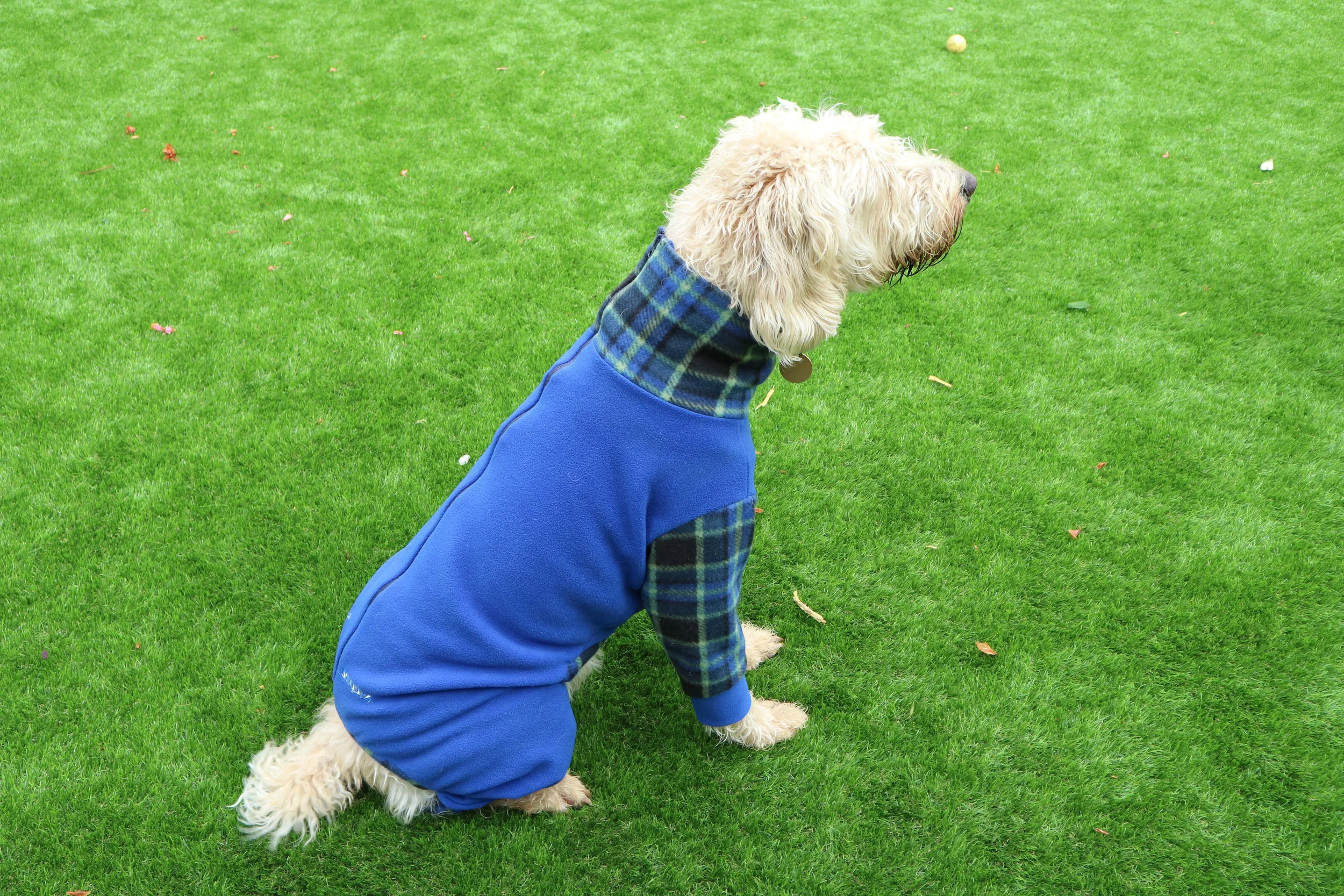 Mucki Mutz Body Suit 11