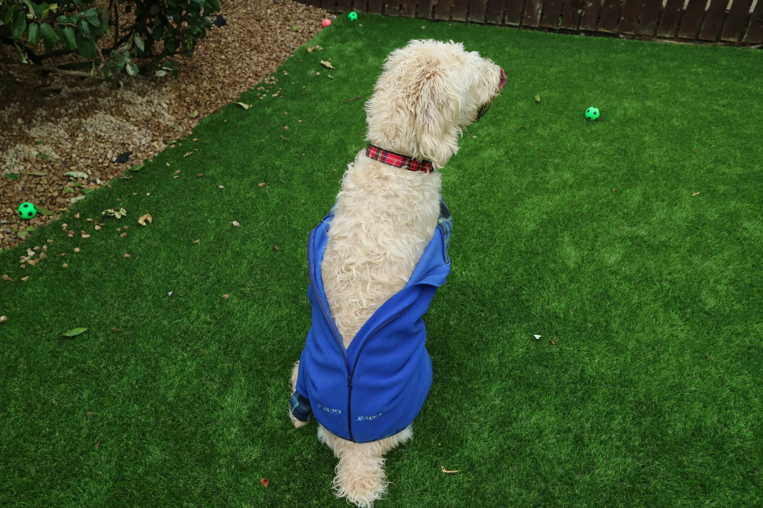 Mucki Mutz Full Body Suit