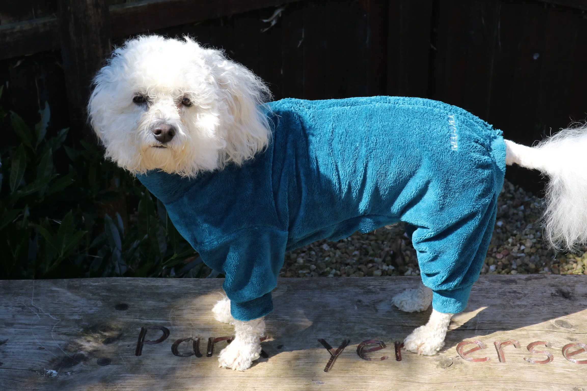 Mucki Mutz® Drying Suit in Petrol Bamboo Towelling Fabric