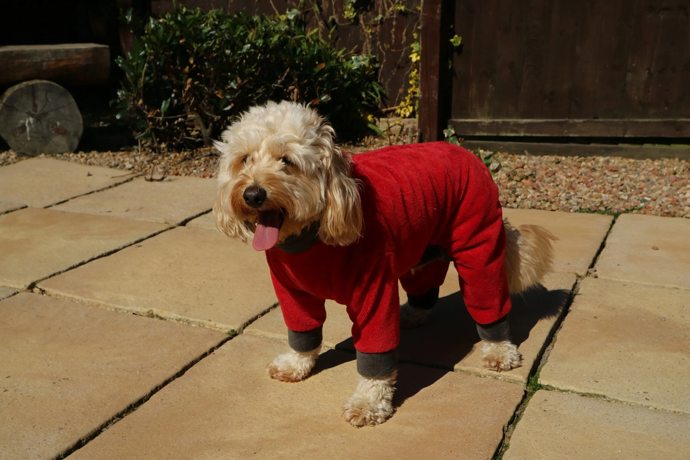 Mucki Mutz® Drying Suit in Red Bamboo Towelling Fabric