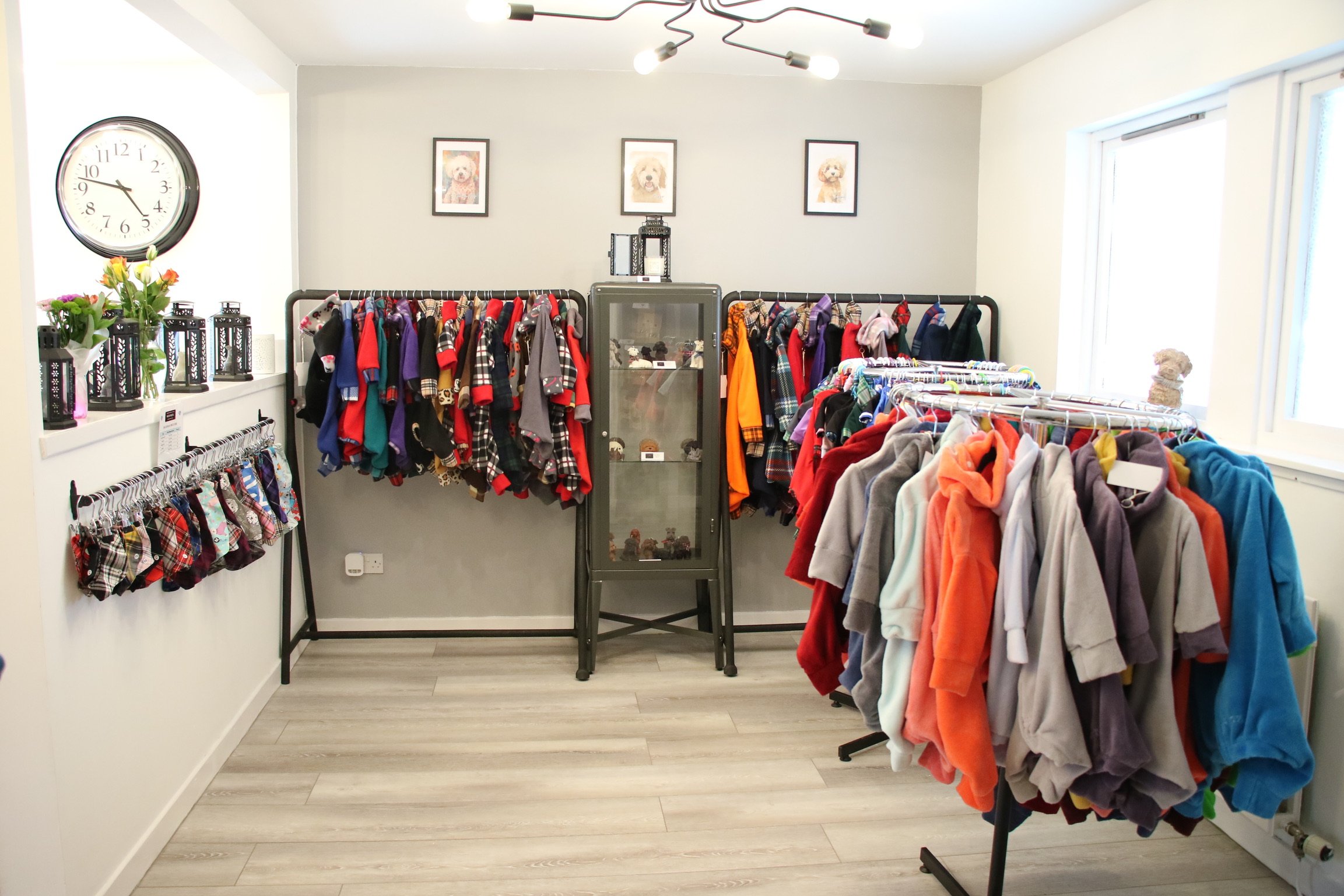 Dog clothing store near best sale me