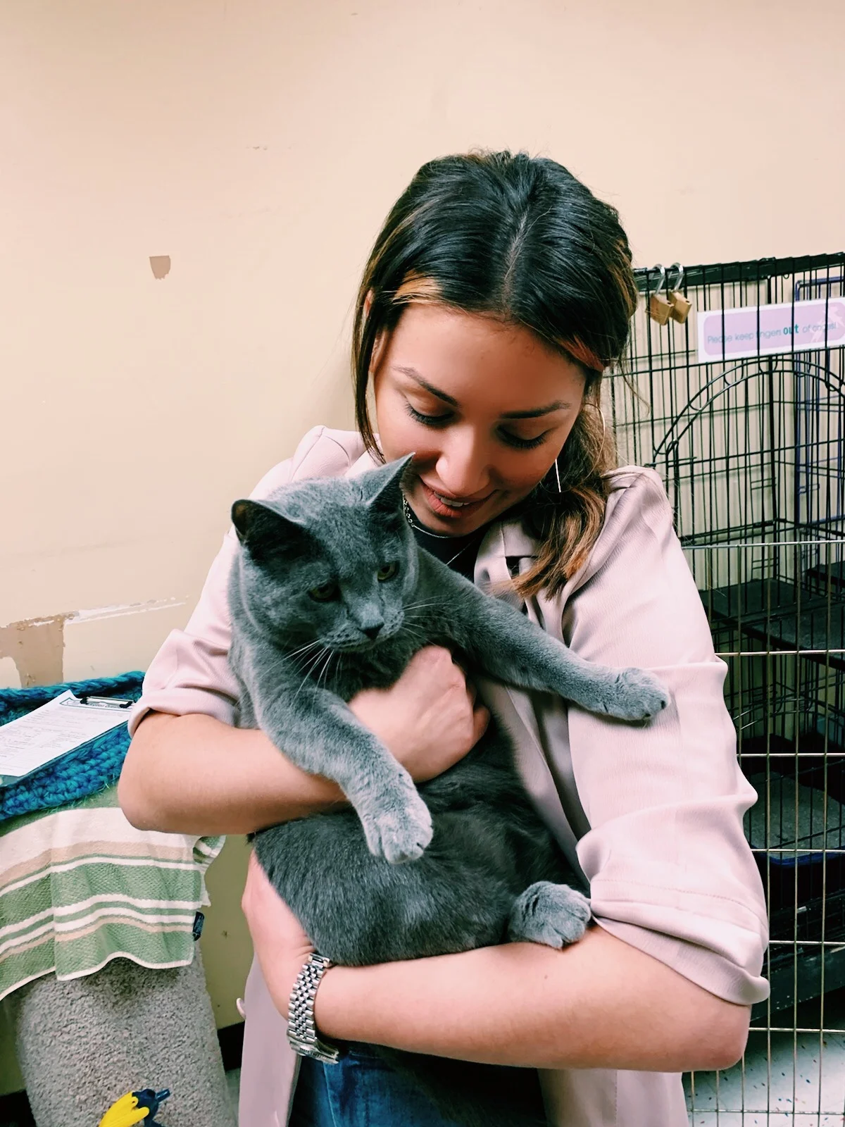 First time I held my cat I knew he was the one for me. His name is Earl like “Earl Grey” tea.