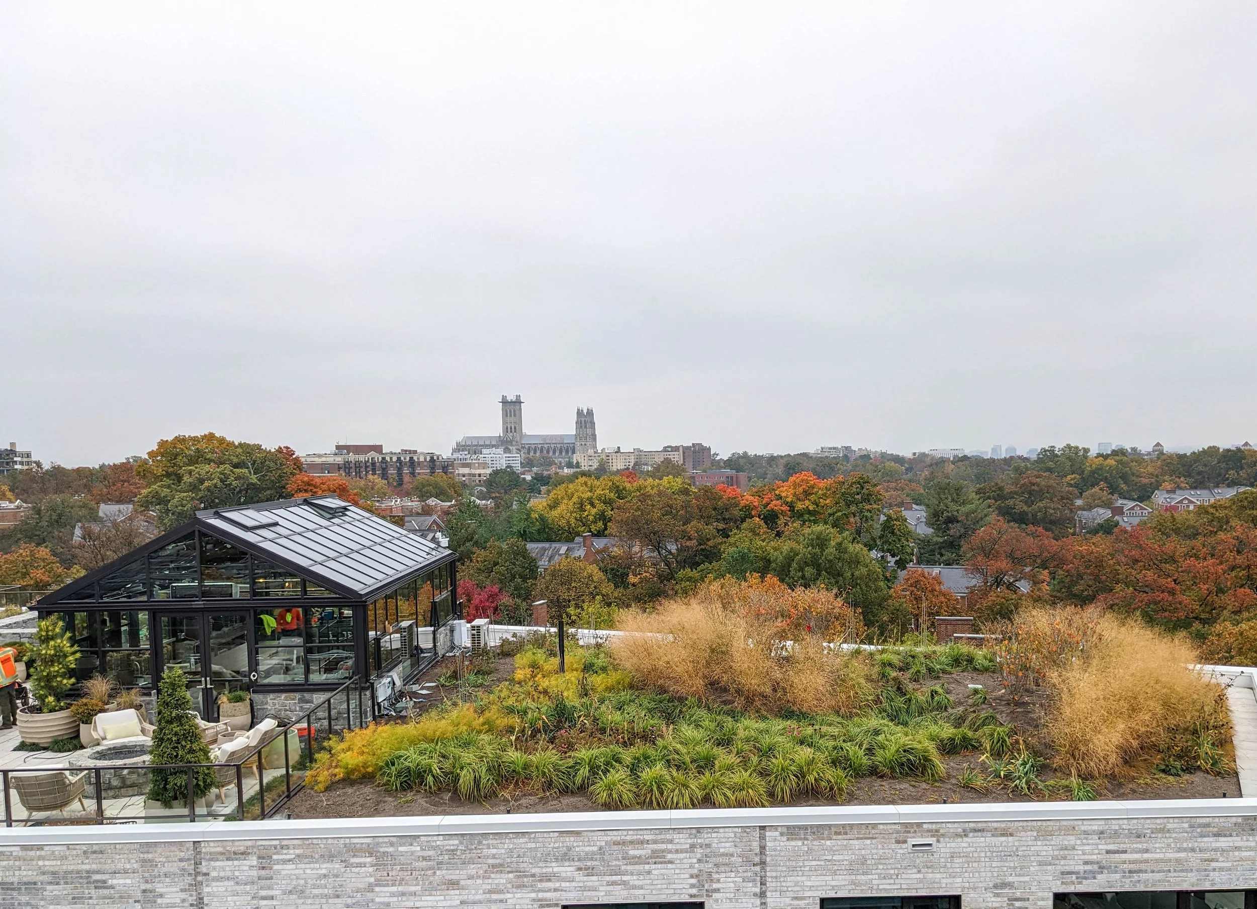 PXL_20221025_173729467-5.jpg
