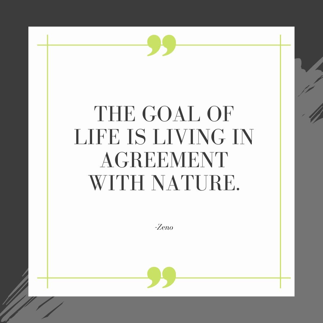 This is what we strive to do as Landscape Architects. 🌿
.
.
.
#jbclandscapearchitecture #landscapearchitecture #nature