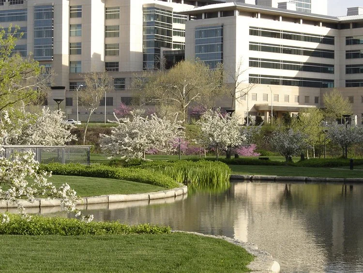 Kauffman Lke Flowering.jpg