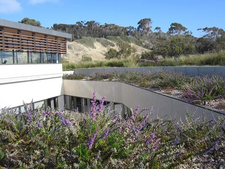 NOAA La Jolla Laboratory Green Roof