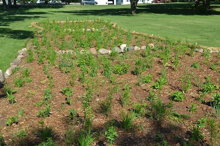 Gilmore City Community Rain Garden