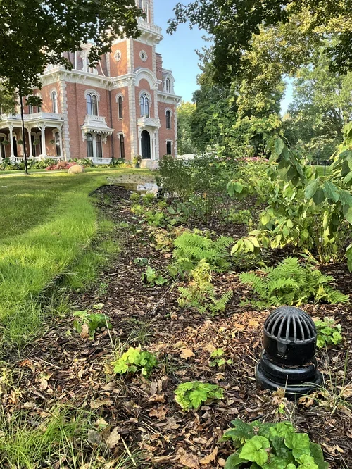 Terrace Hill Erosion Control