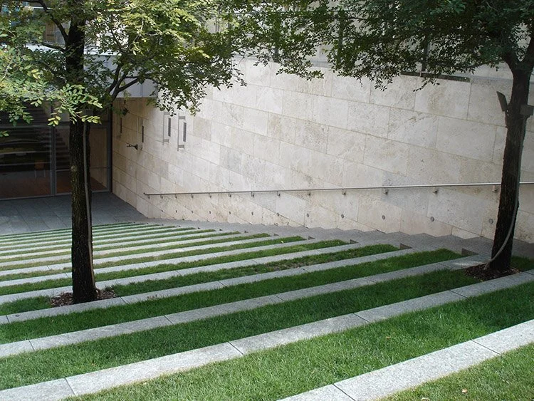 nasher grass steps.jpg