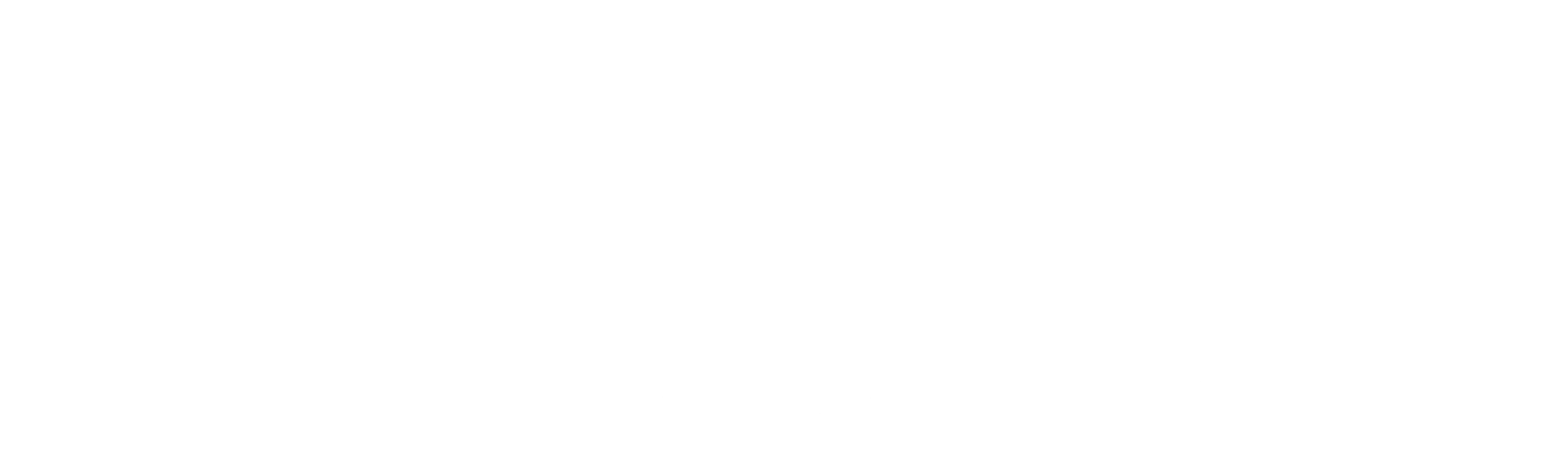 wedding videographer logo