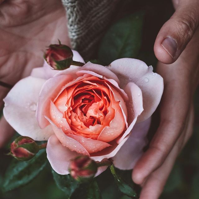 I was introduced to Kate @a.p.p.a.r.i.t.i.o.n and John @hesselbarth by the gorgeous Willa @littlebittecocktails. She described them as a beautiful kind couple. I am drawn to kindness so started following them and reading about there travels with a wh