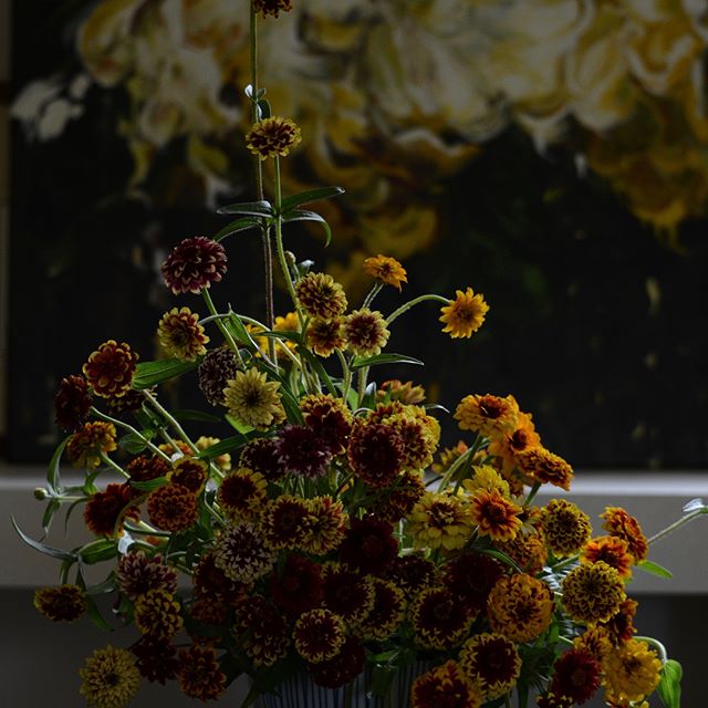 August has been short and long in many ways. We have had a good amount of rain lately which has given some relief and forced me to take a much needed brake. I can see the garden waving its hands already gently, pointing out my awaiting chores 
In sho