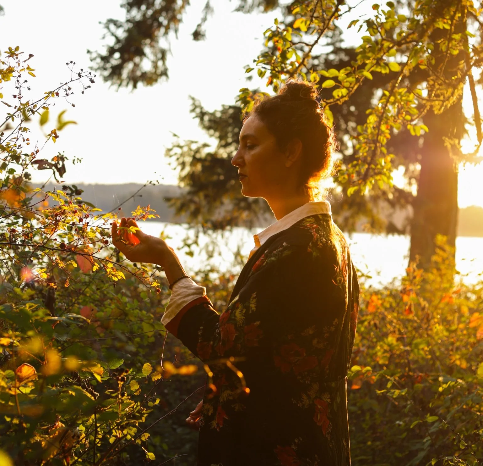 Hollyhock ~ Witching Ways