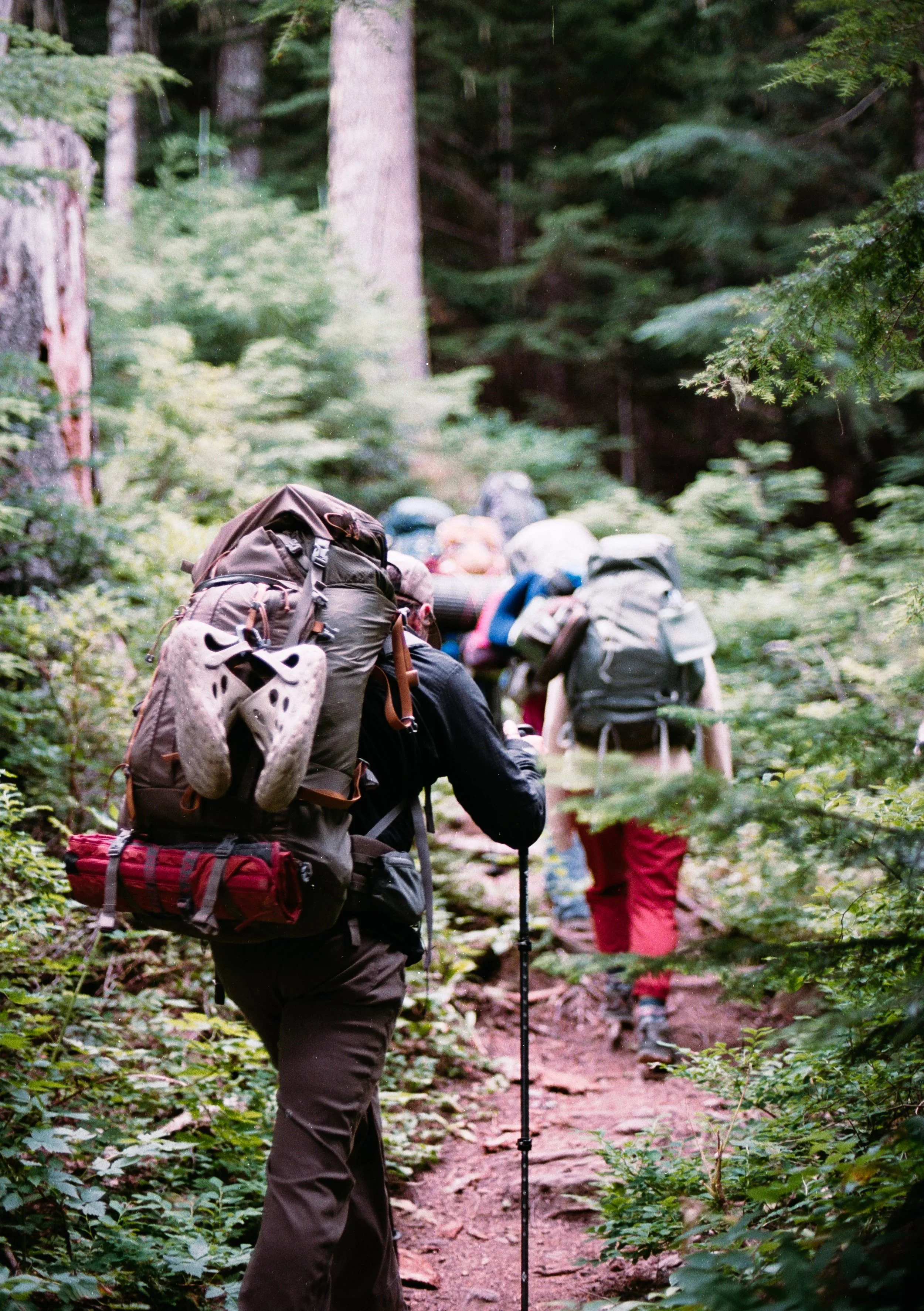 EARTH AS ORACLE: CEREMONIAL BACKPACKING RETREAT IN PT. REYES, CA