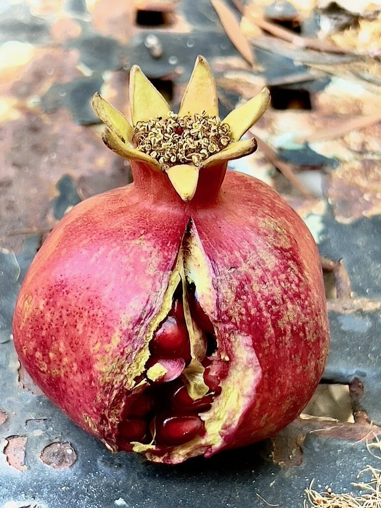 The Labyrinth: Ariadne & The Red Thread at Sh'Bang! Festival