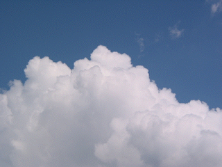 aa9697a3f7a61389675b8dc109518753.gif