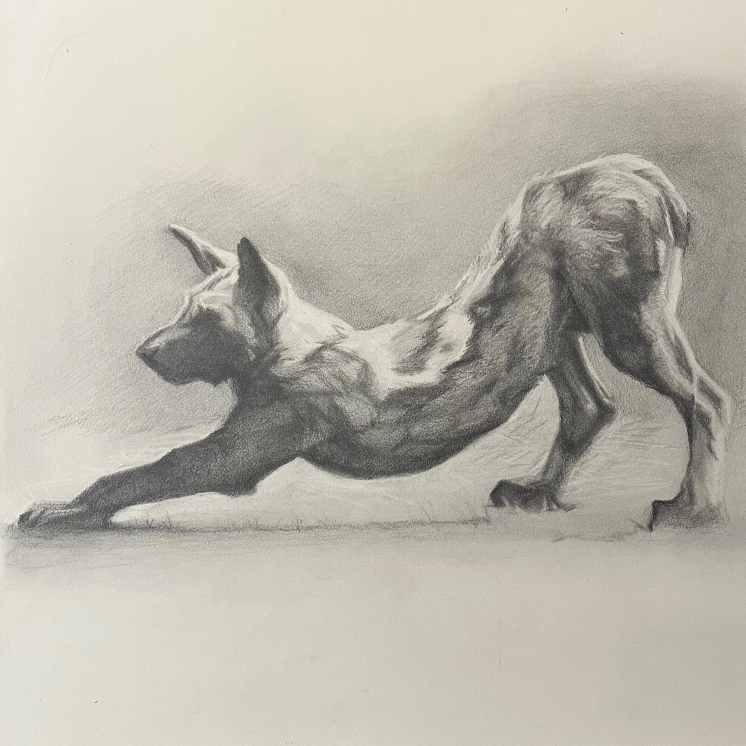 9671741A-7BCF-41DA-B6C9-6CB737E0A8A6