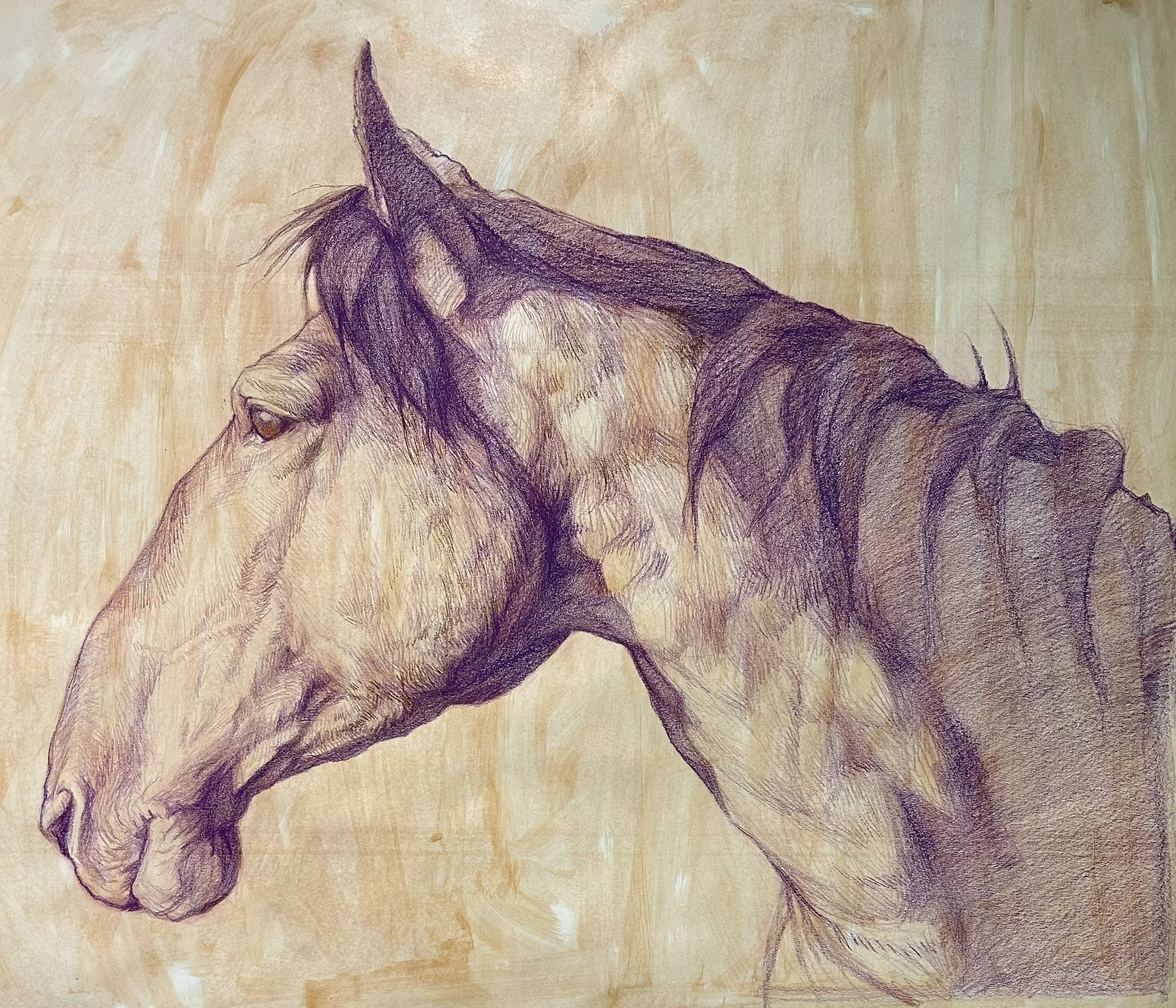 34x40in crayon on shellac'd paper 2026