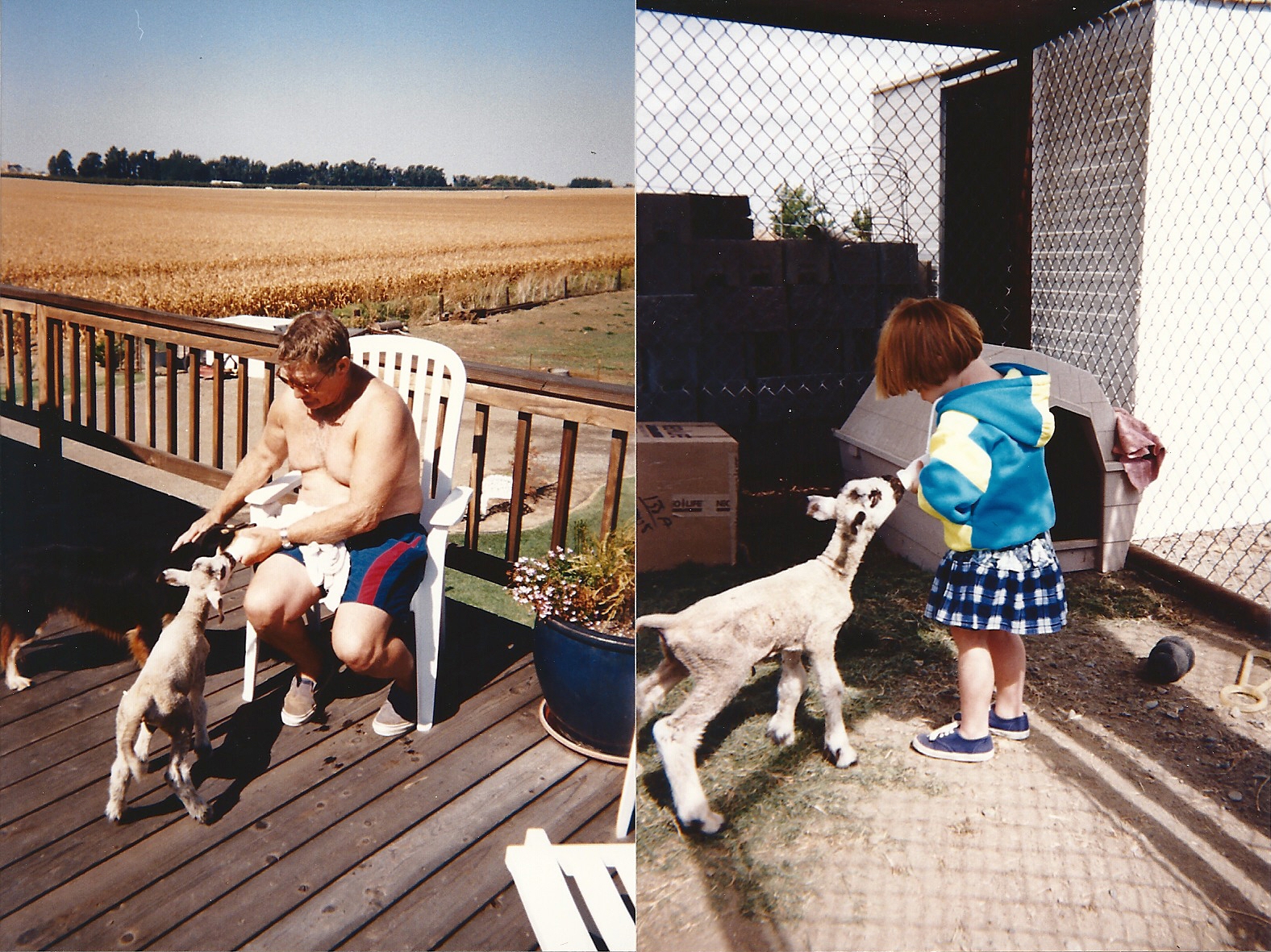 scan0114.jpg
