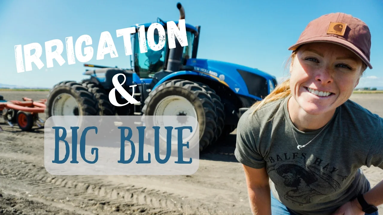 You Can Drive That?!