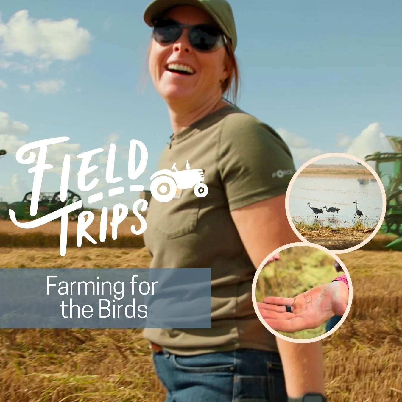 Farming for the birds (3840 x 1440 px) (1 x 1 in) (1350 x 1350 px).jpg