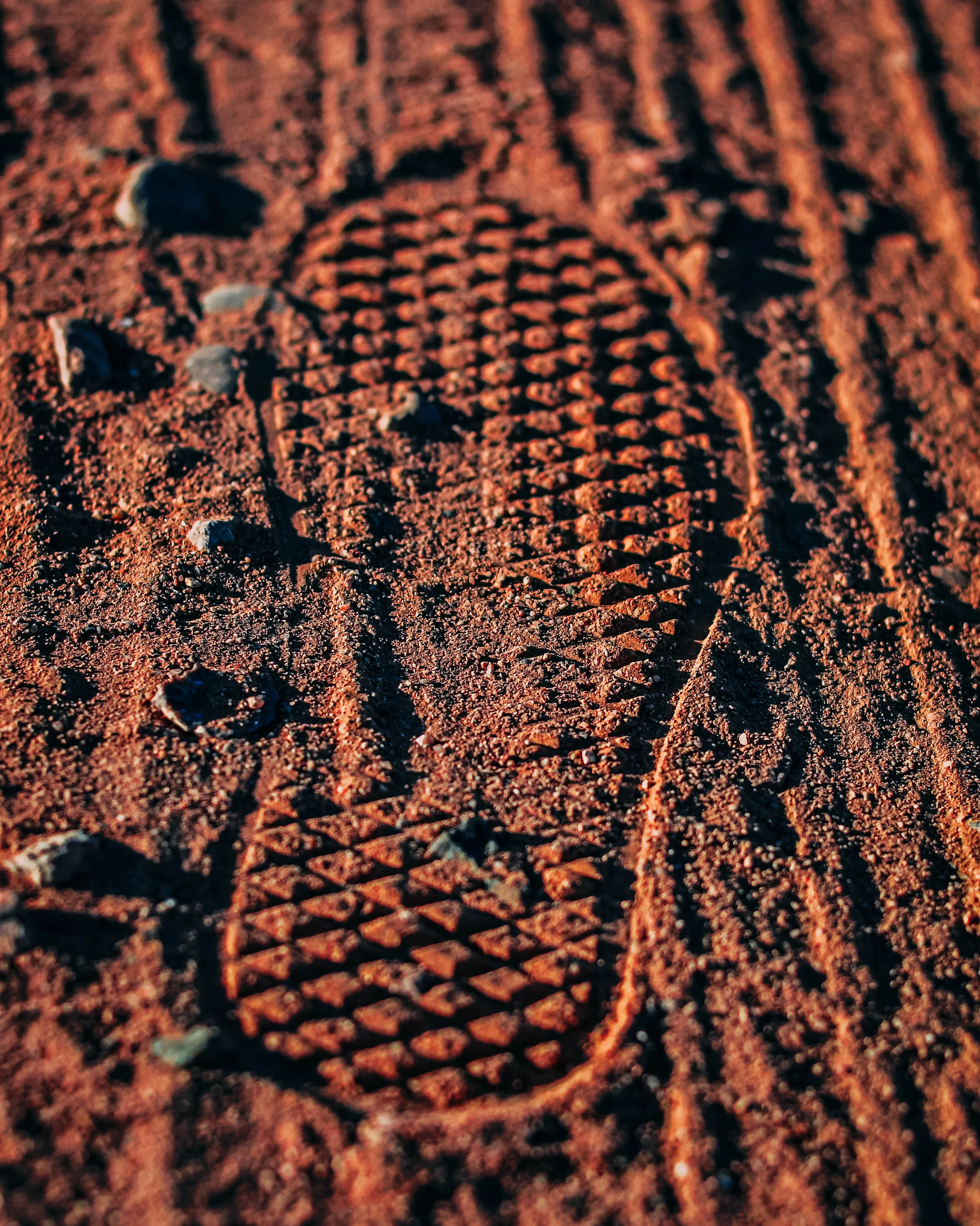 MARS