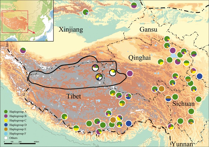 Geographical-distribution-of-the-yak-Bos-grunniens-D-loop-haplogroups-in-western-China.png.jpeg