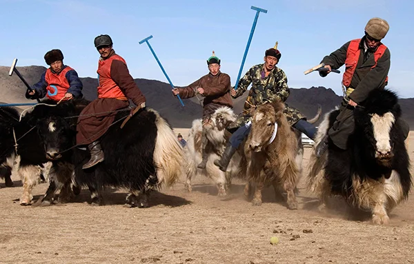 Courtesy of the Mongolian Association of Sarlagan Polo