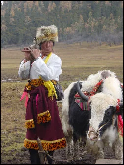 20080229-Tibetan+herder+and+yak+in+Yunnan+NP+22.jpg