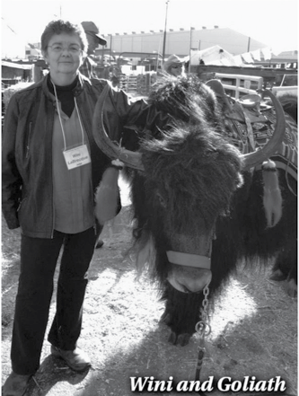 Yak Article 2012 copy 2.png