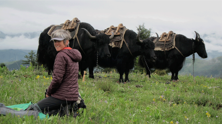 Jandy Sprouse posing in Tibet with some fancy fiber friends.