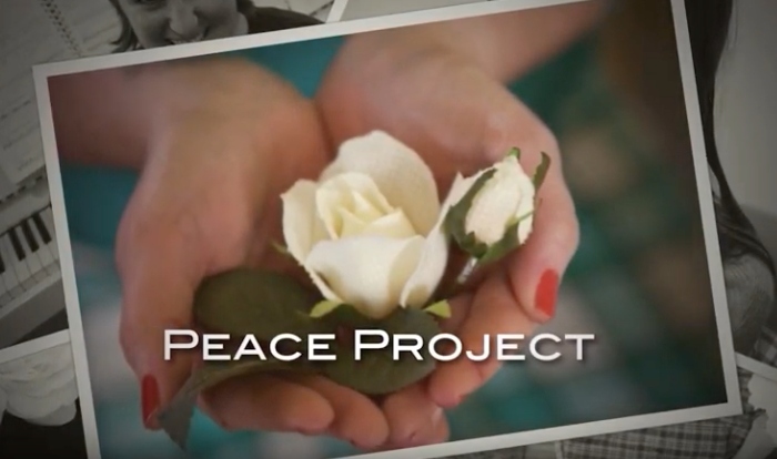 Peace Project 12816