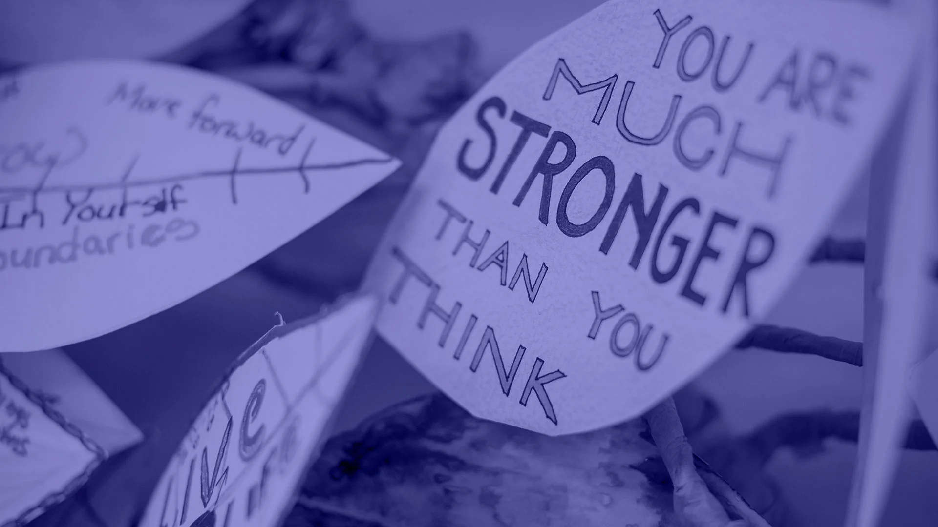 CRDVN_HomepageBanner_violet.jpg