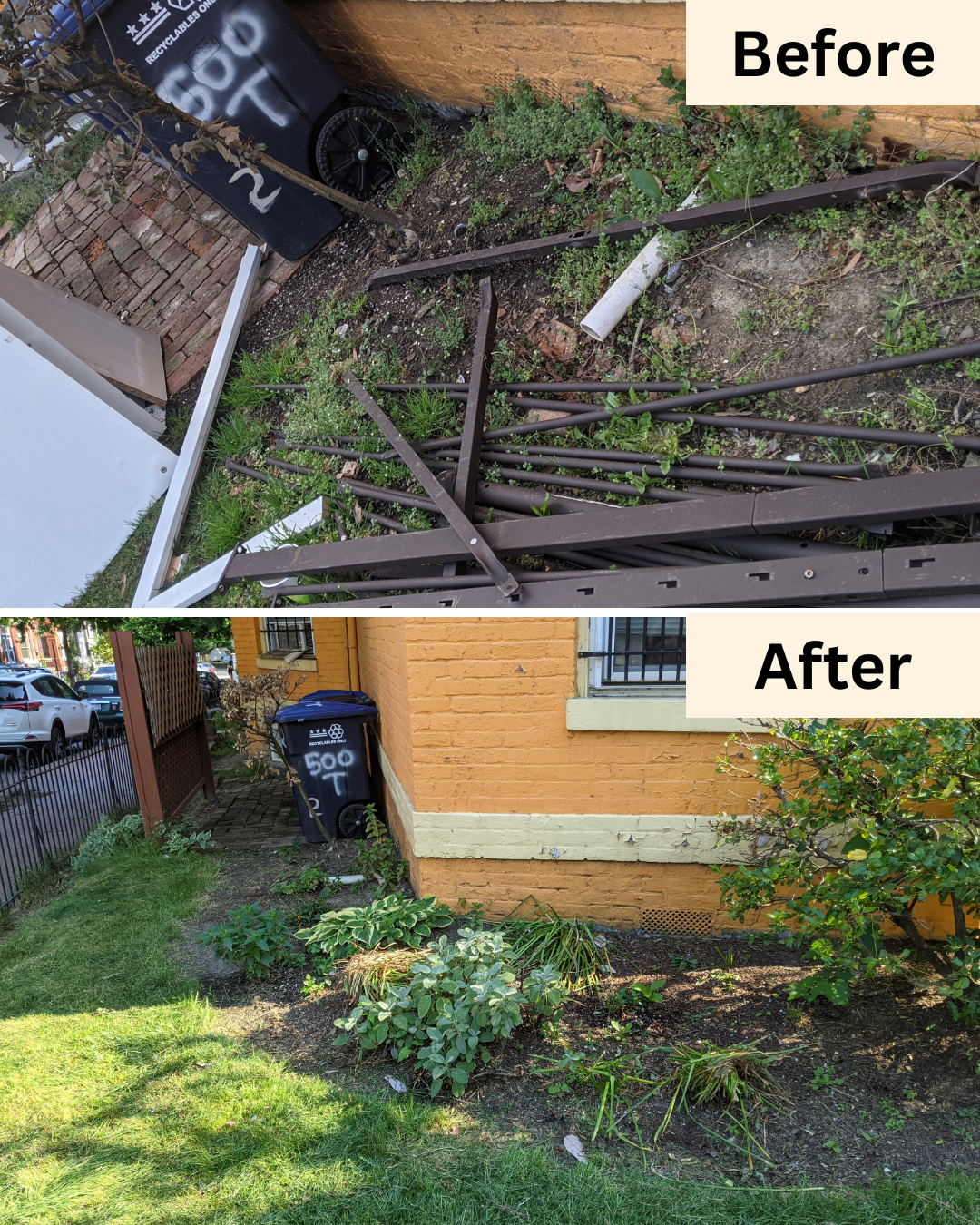 Rowhouse: From Trash Pile to Small Garden, NW