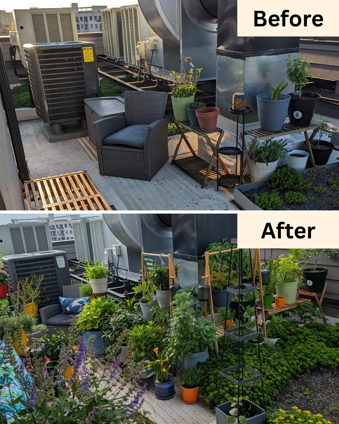Rooftop Garden Install on H ST NE
