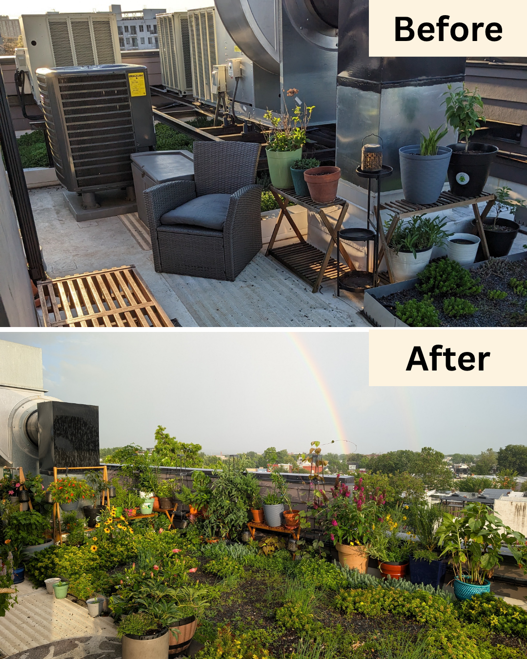 Rooftop Garden Install on H ST NE