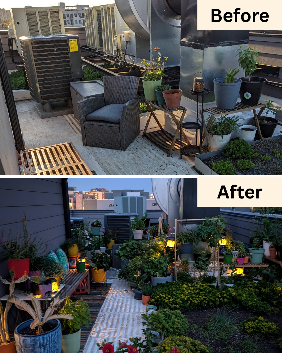 Rooftop Garden Install on H ST NE